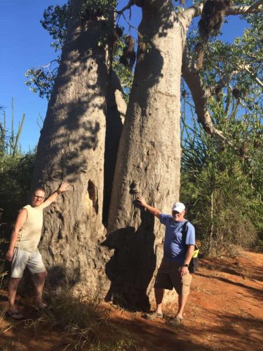 Boabab-tree-Berenty-Reserve4367-750×1000