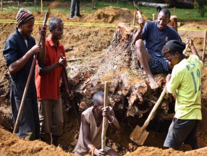 madagascar 2019 digging